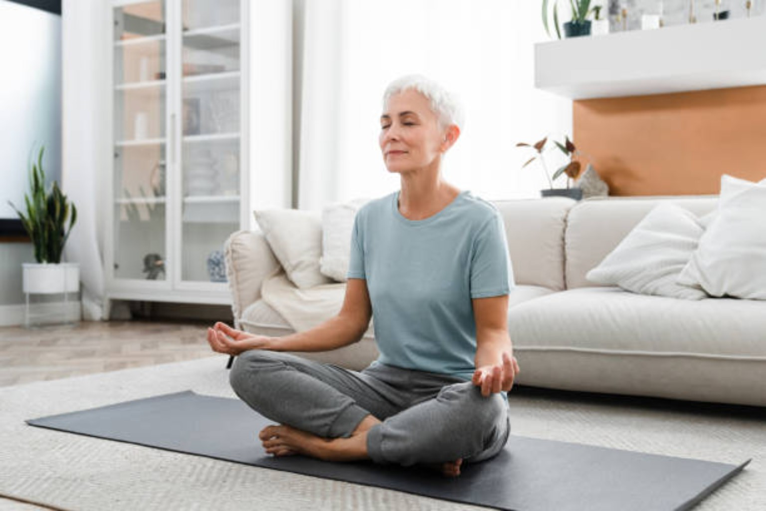Mindfulness wellness guide